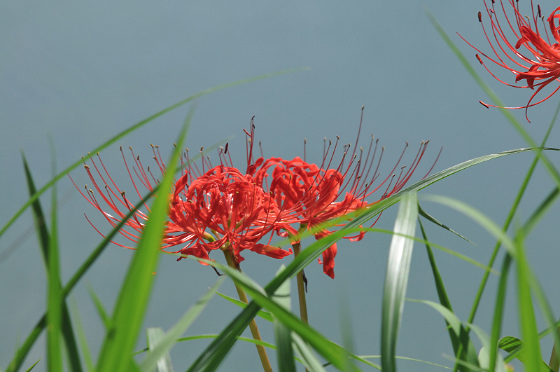 image0106