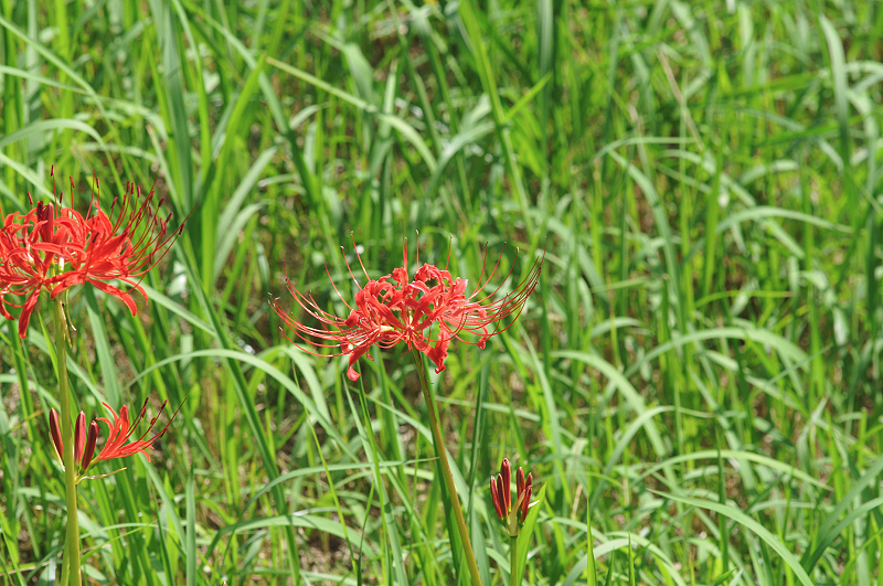 image0107
