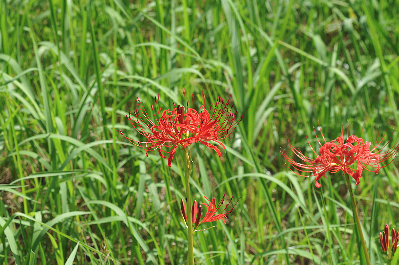 image0108