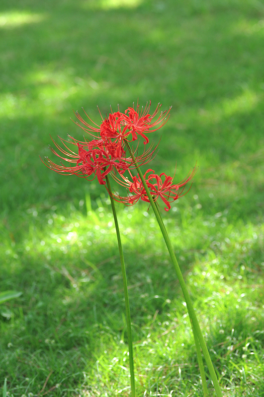 image0111