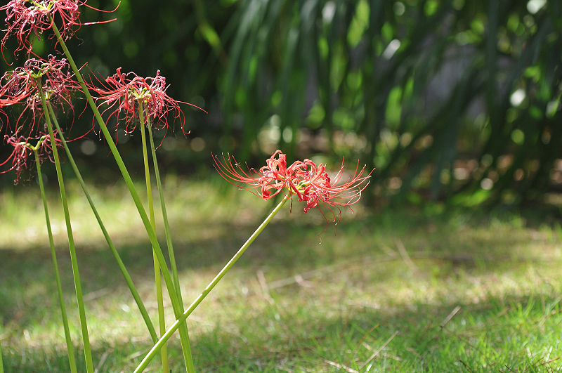 image0113