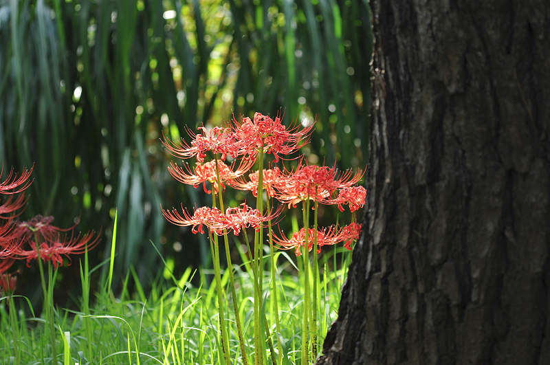 image0114