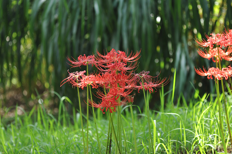 image0115