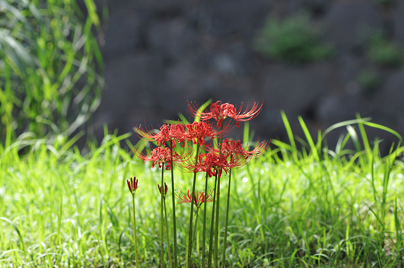 image0116