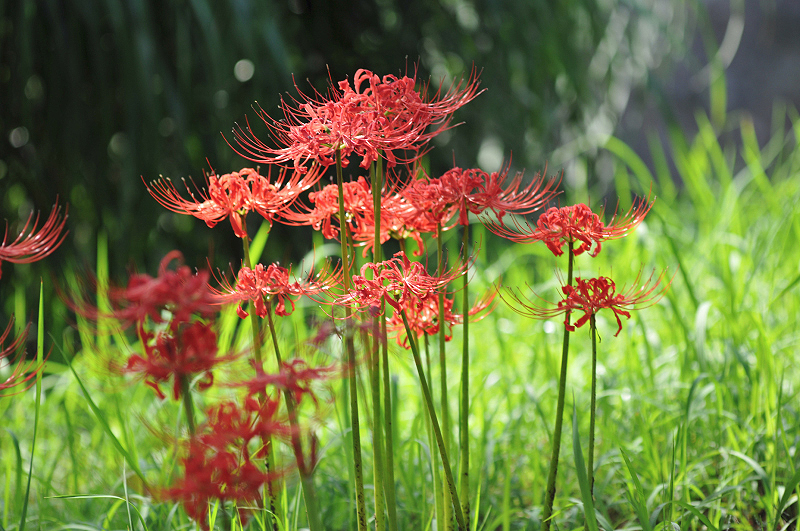 image0118