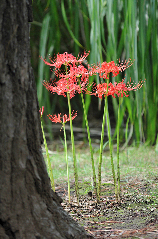 image0119