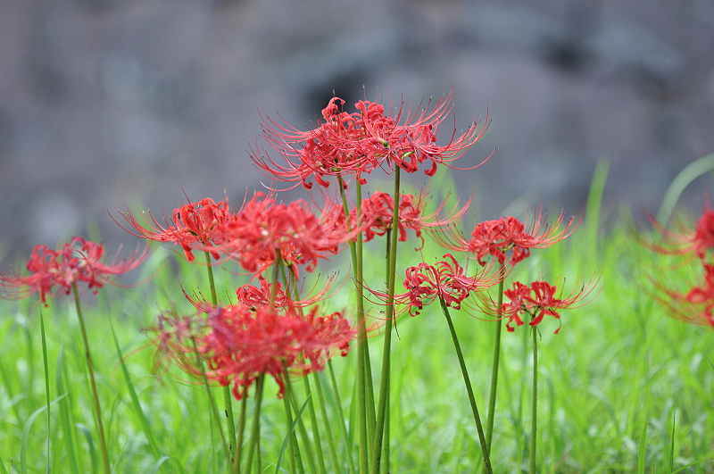 image0120