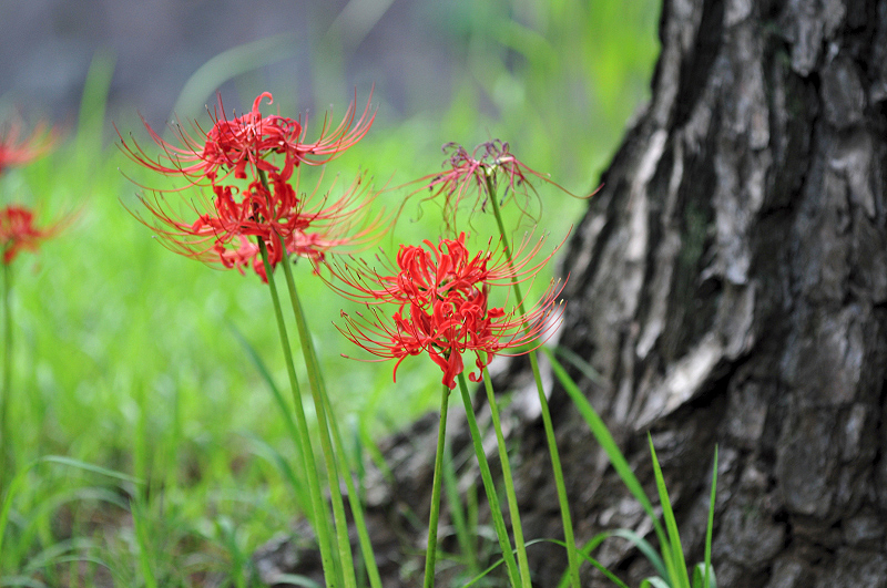 image0121
