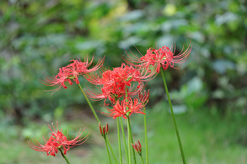 image0122