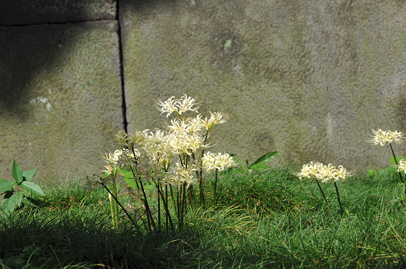 image0124