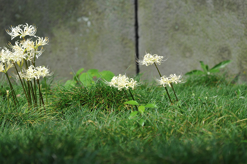 image0125