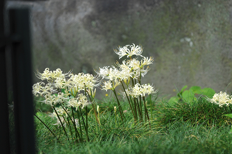 image0126