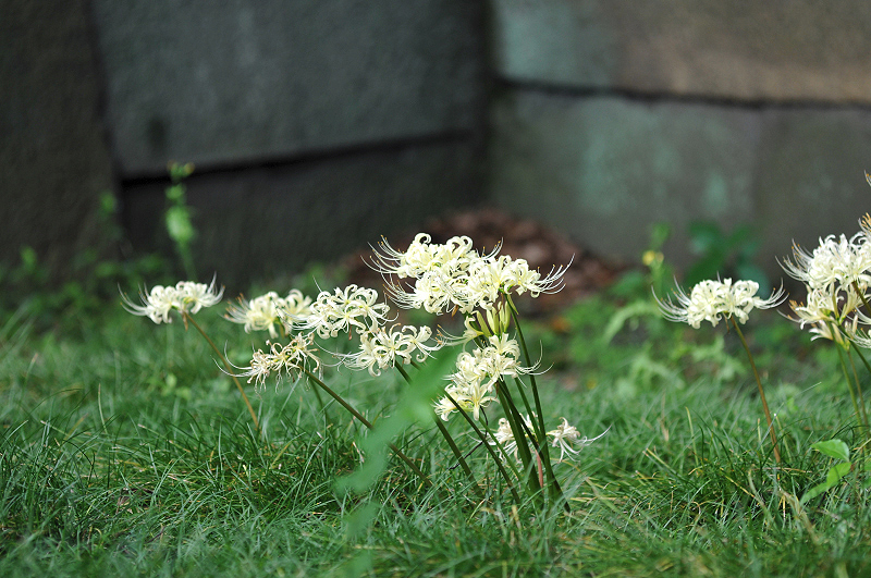 image0127