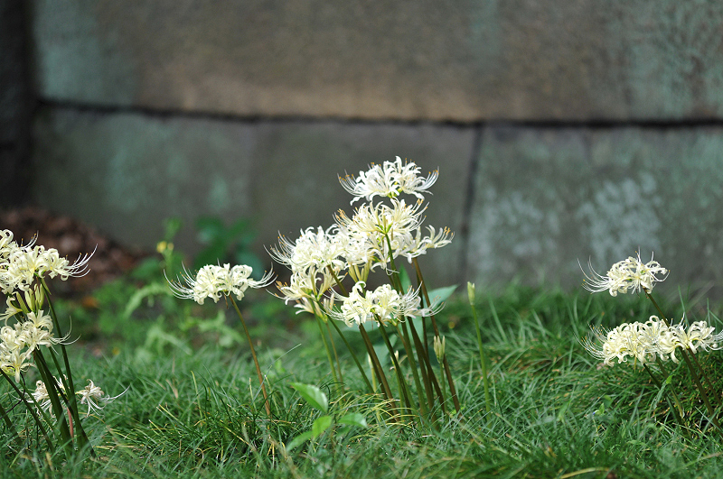 image0128