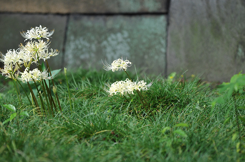 image0129
