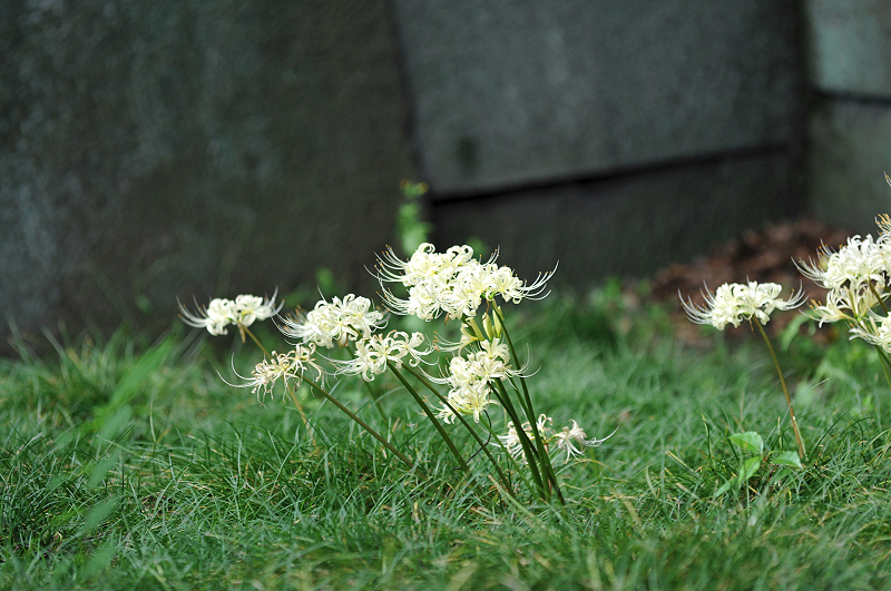 image0130