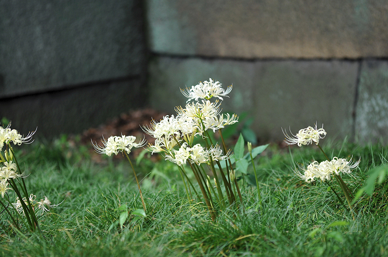 image0131
