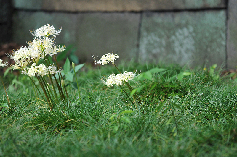 image0132
