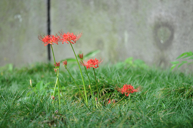 image0133