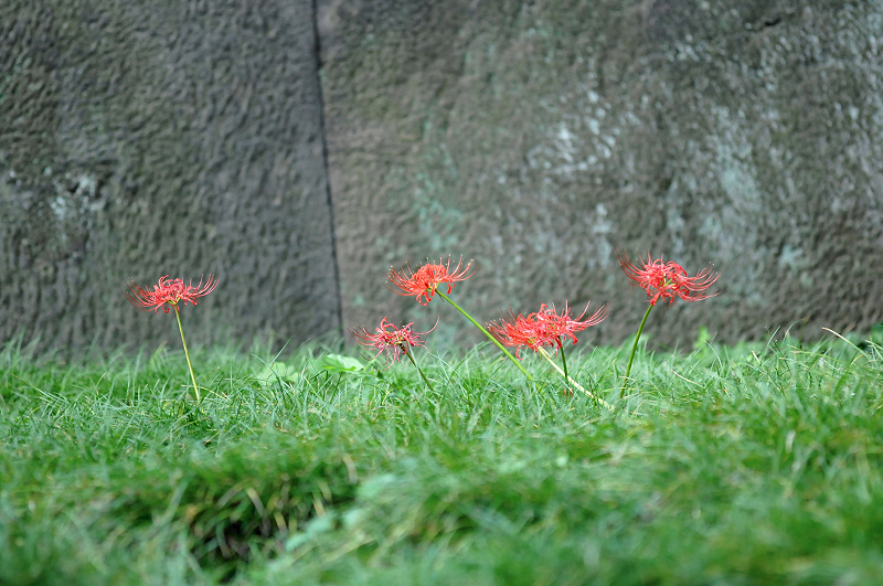 image0134