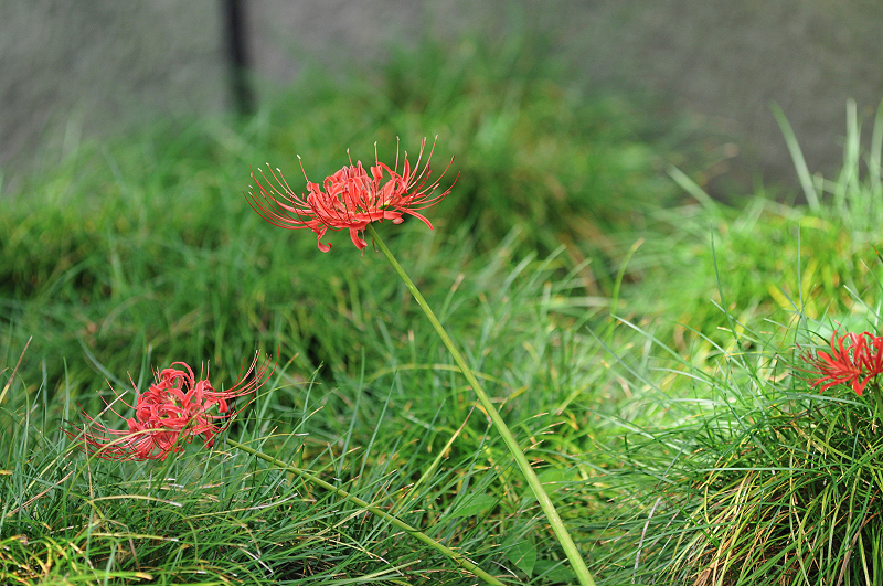 image0136