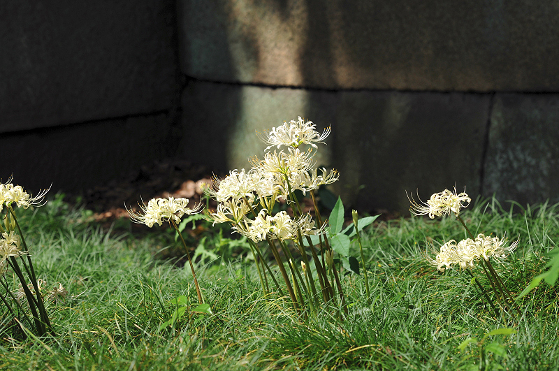 image0137