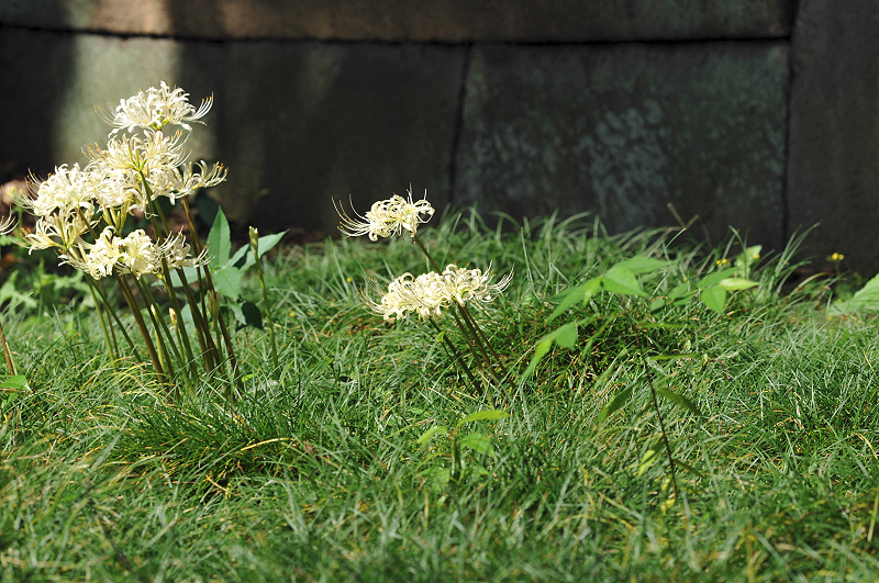 image0139