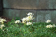 image0128