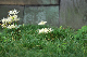 image0129