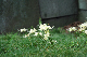image0130