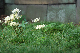 image0132