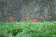 image0134
