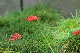 image0136