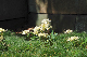 image0137