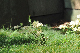 image0138