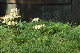 image0139