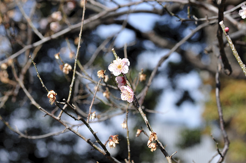 image0103