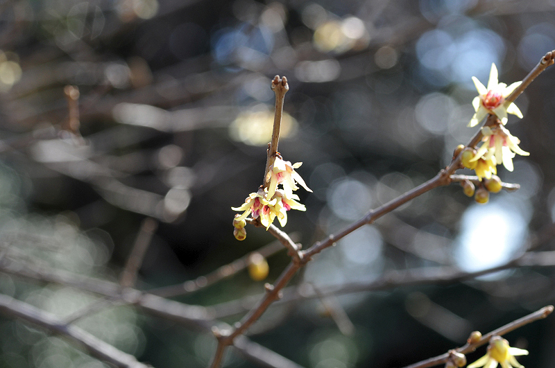 image0133