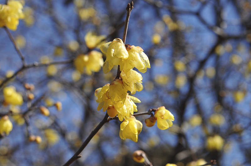 image0152