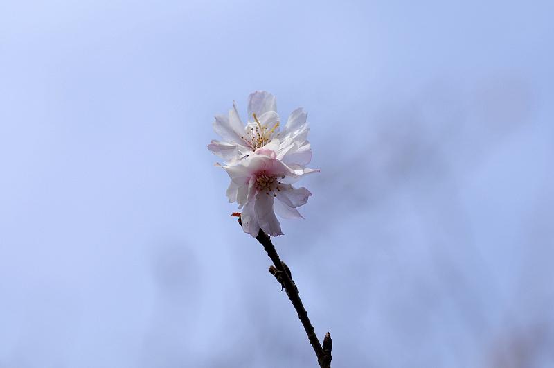 image0217