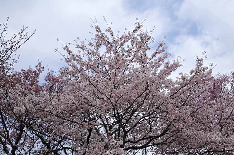 image0111
