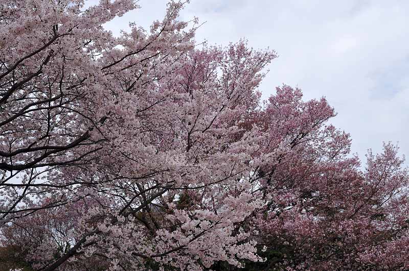 image0112