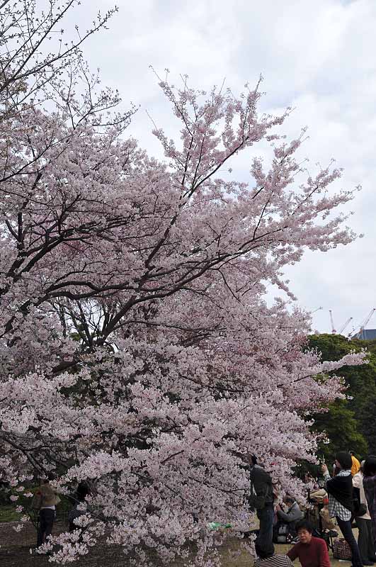 image0115