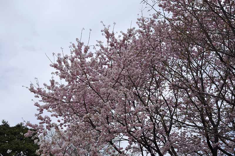 image0122