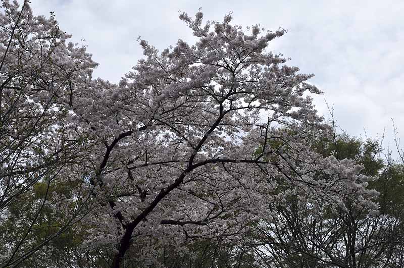 image0155