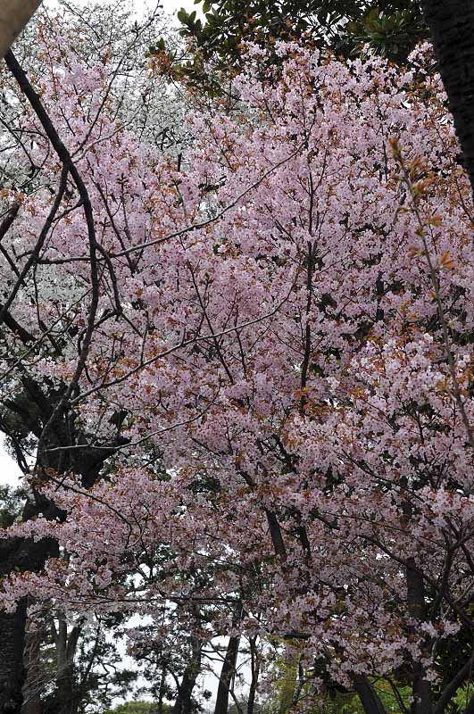 image0180