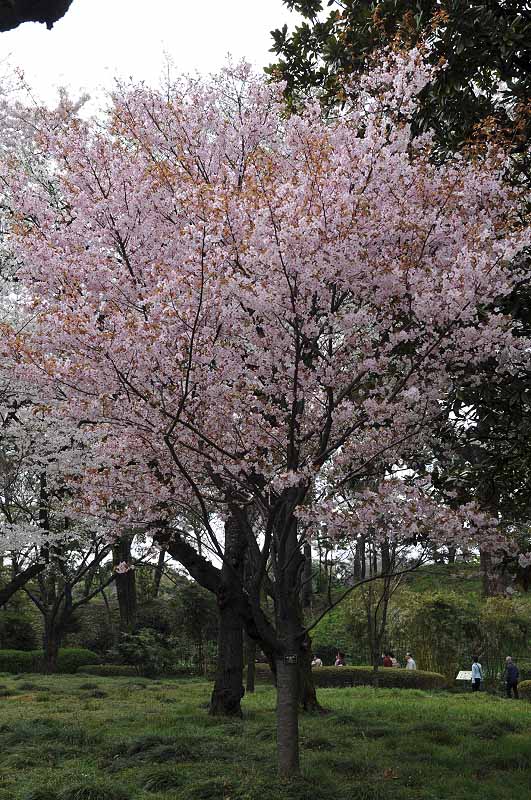 image0181
