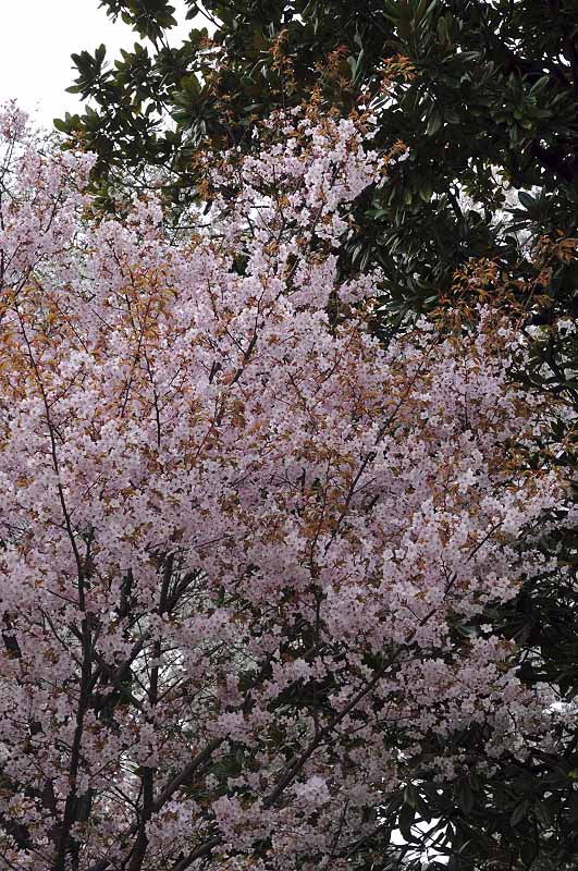 image0183