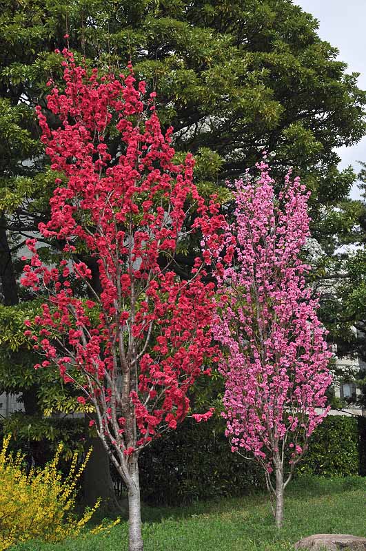 image0187