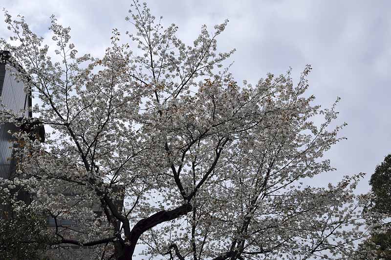 image0206